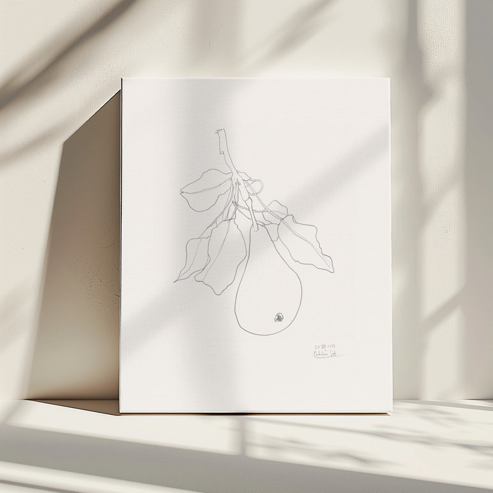 Elegante Birnenskizze | Leinwand