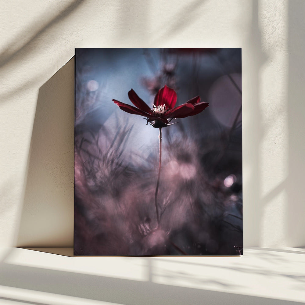 Abendgarderobe | Leinwand