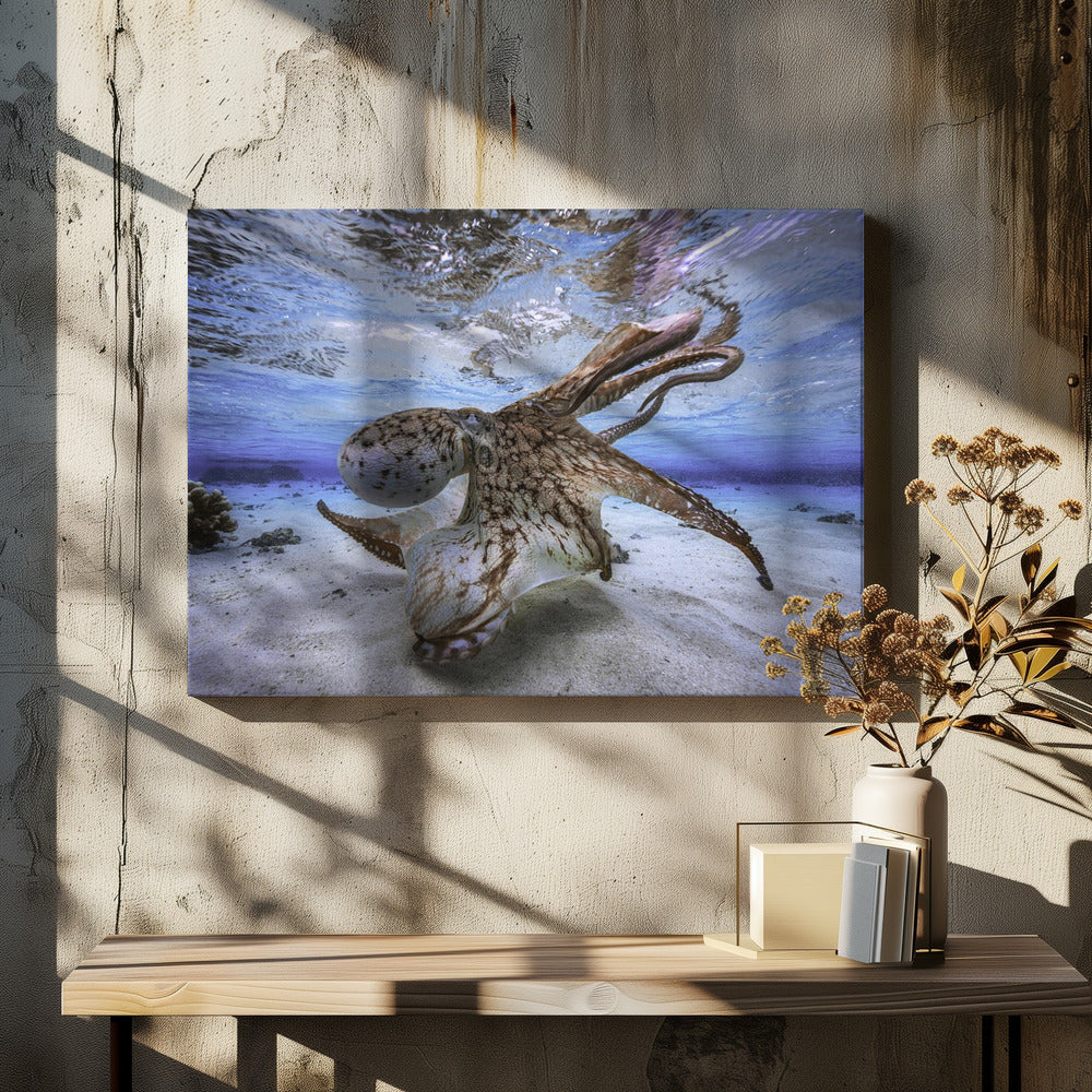 Tanzender Oktopus | Leinwand