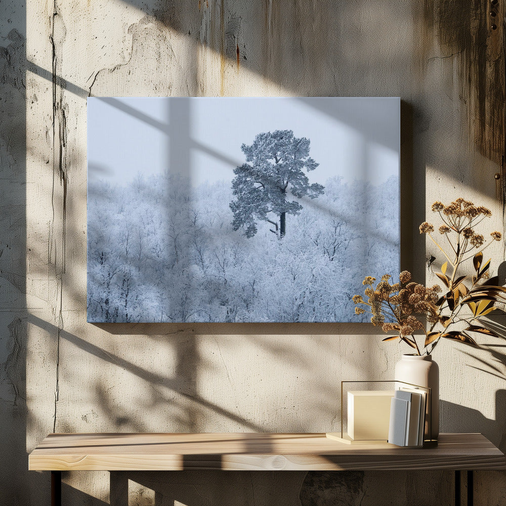 Erster Schnee | Leinwand