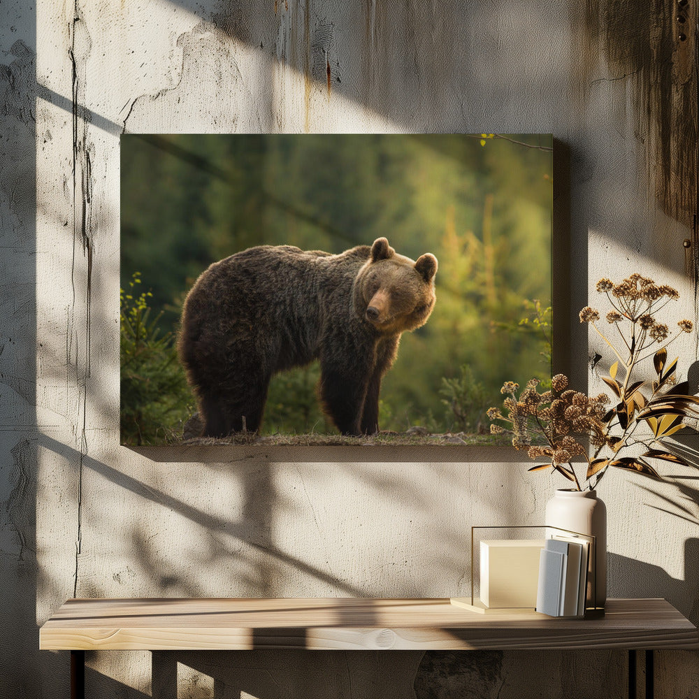 Hinterleuchteter Bär | Leinwand