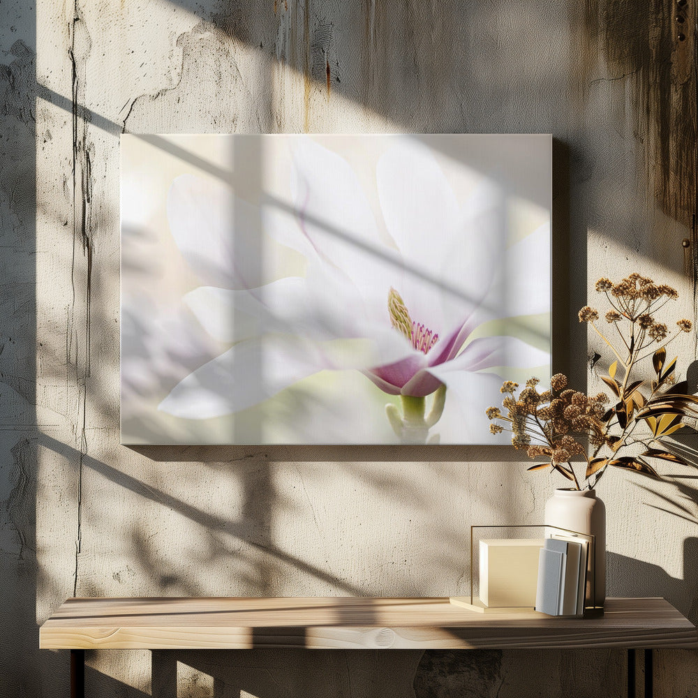 Purity | Canvas
