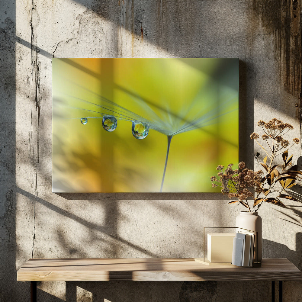 Sonnenstrahl...III | Leinwand