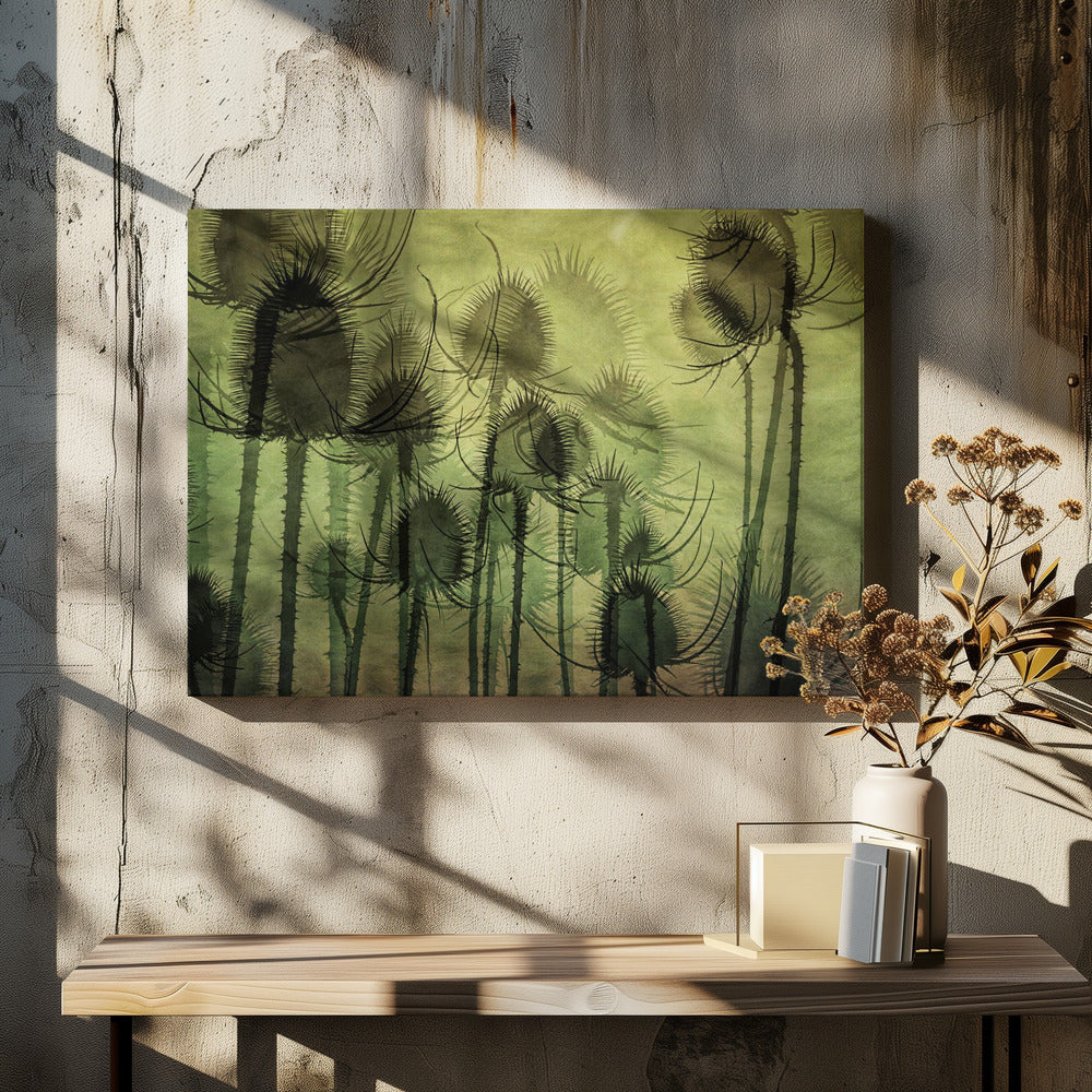 Wilde Karde | Leinwand