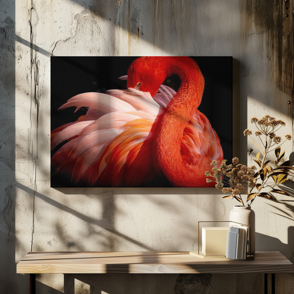 Flamingo | Leinwand