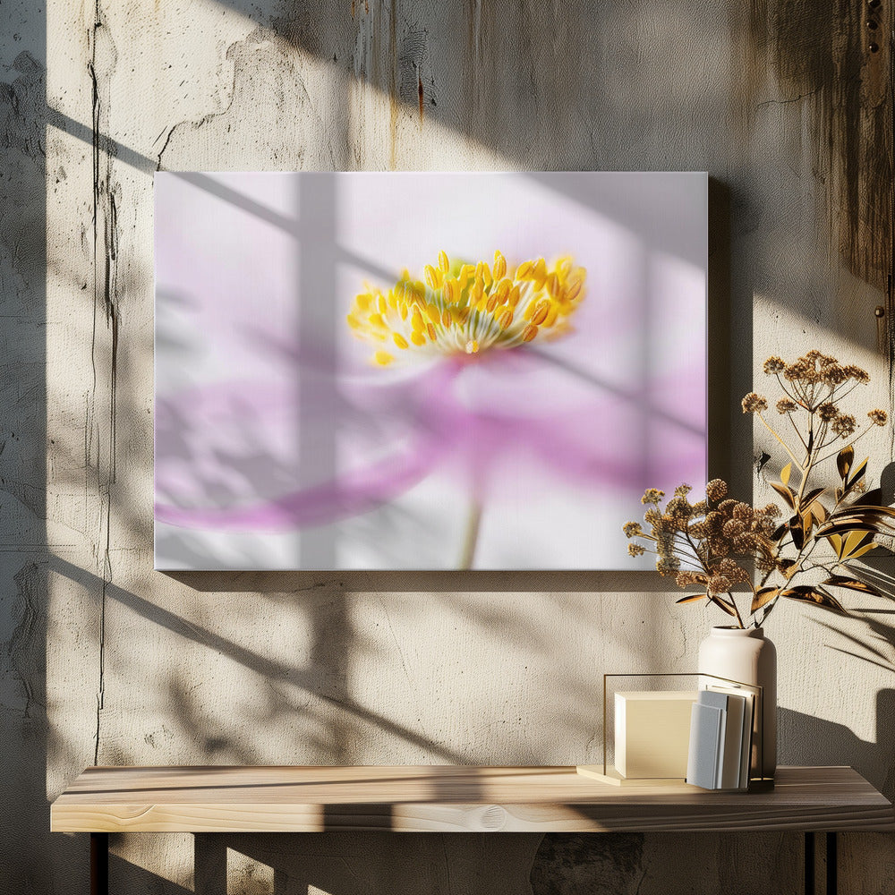 *Anemone* | Leinwand