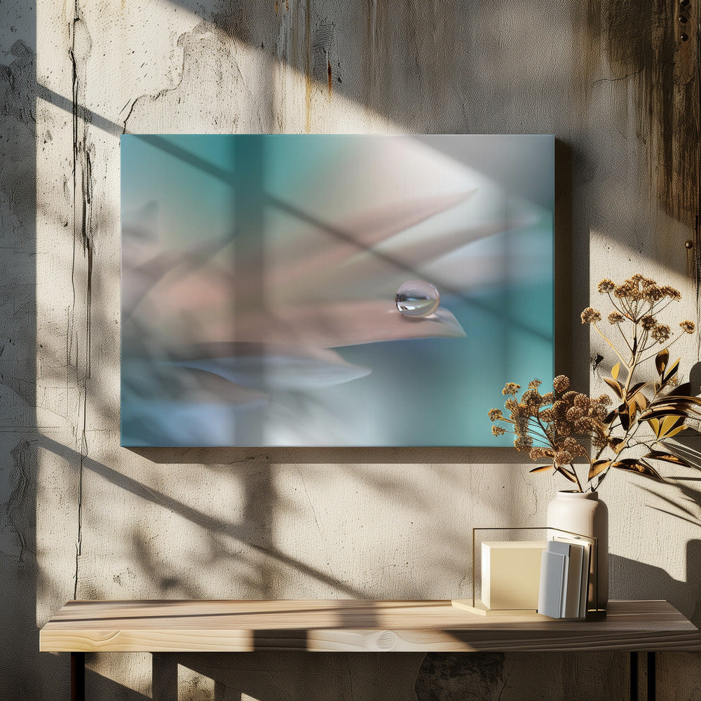 Weiße Symphonie.. | Leinwand