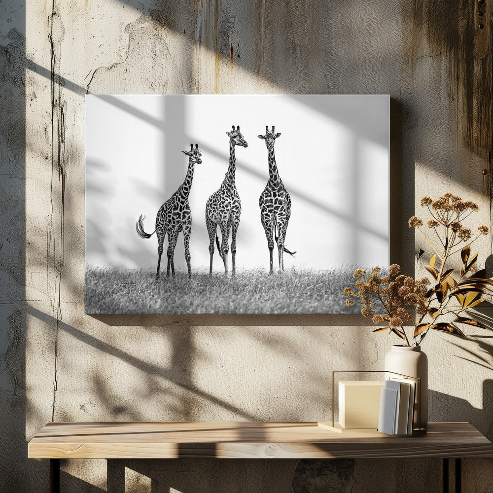 Giraffen in der Mara-Ebene | Leinwand