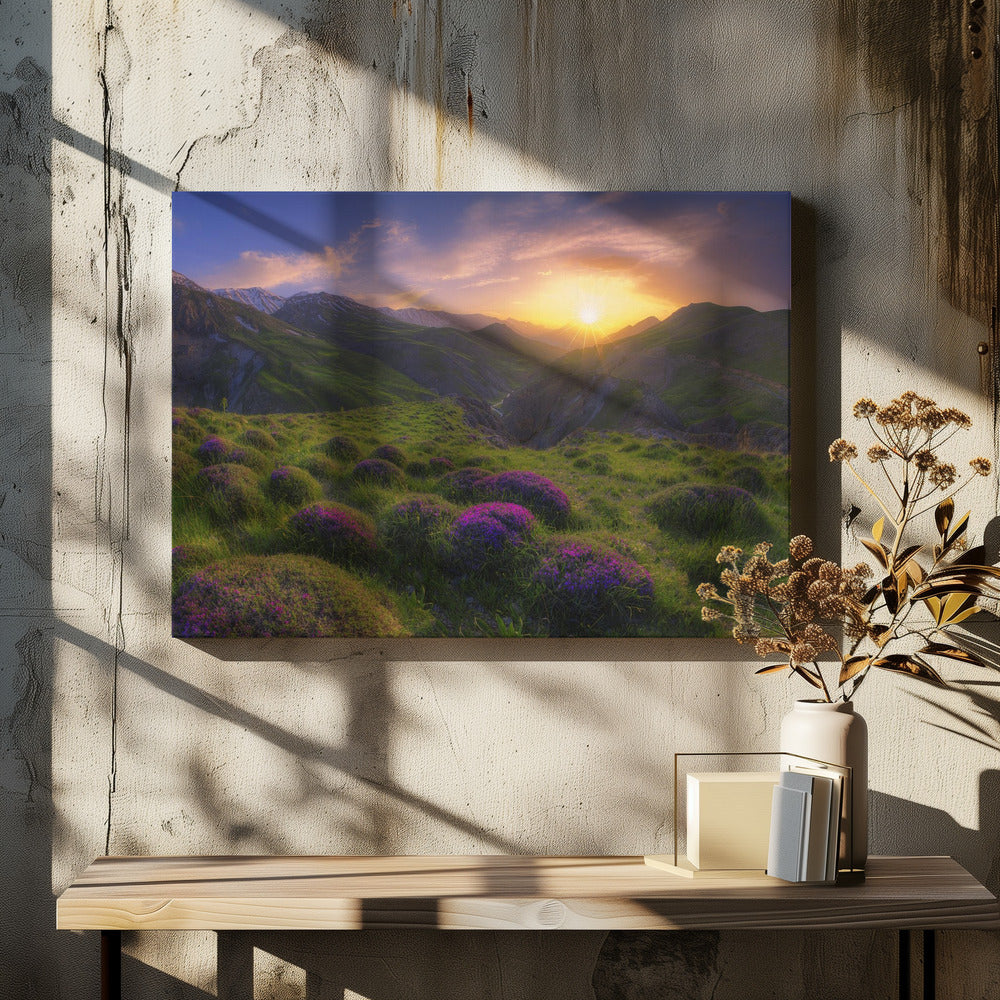 Frühling in Show | Leinwand