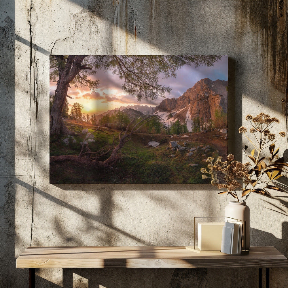 Magischer Morgen | Leinwand