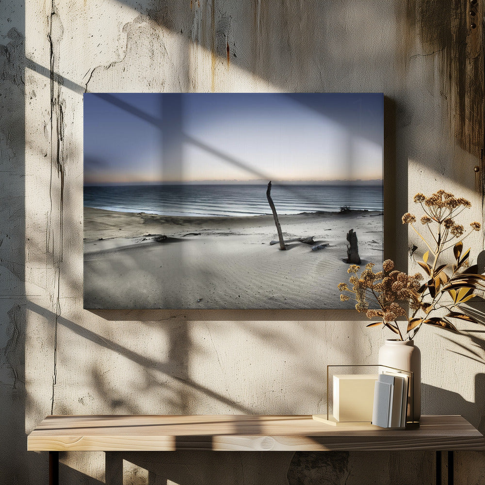 Greif nach der Sonne | Leinwand
