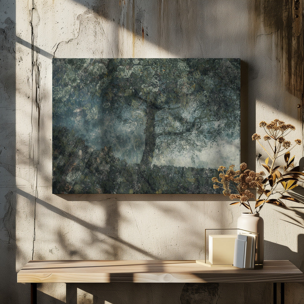 Felsen und ein Baum | Leinwand