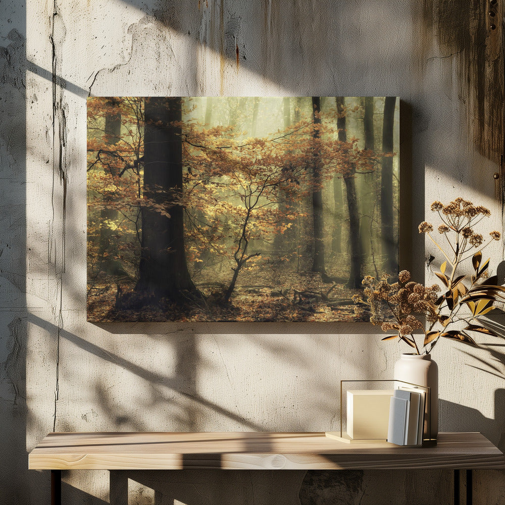 Soft fall | Canvas