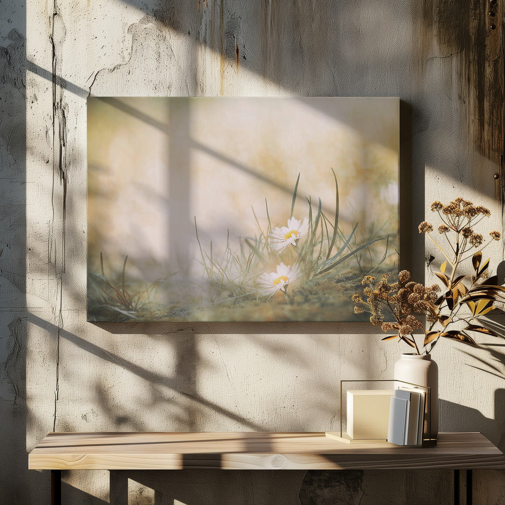 Ohne Titel | Leinwand