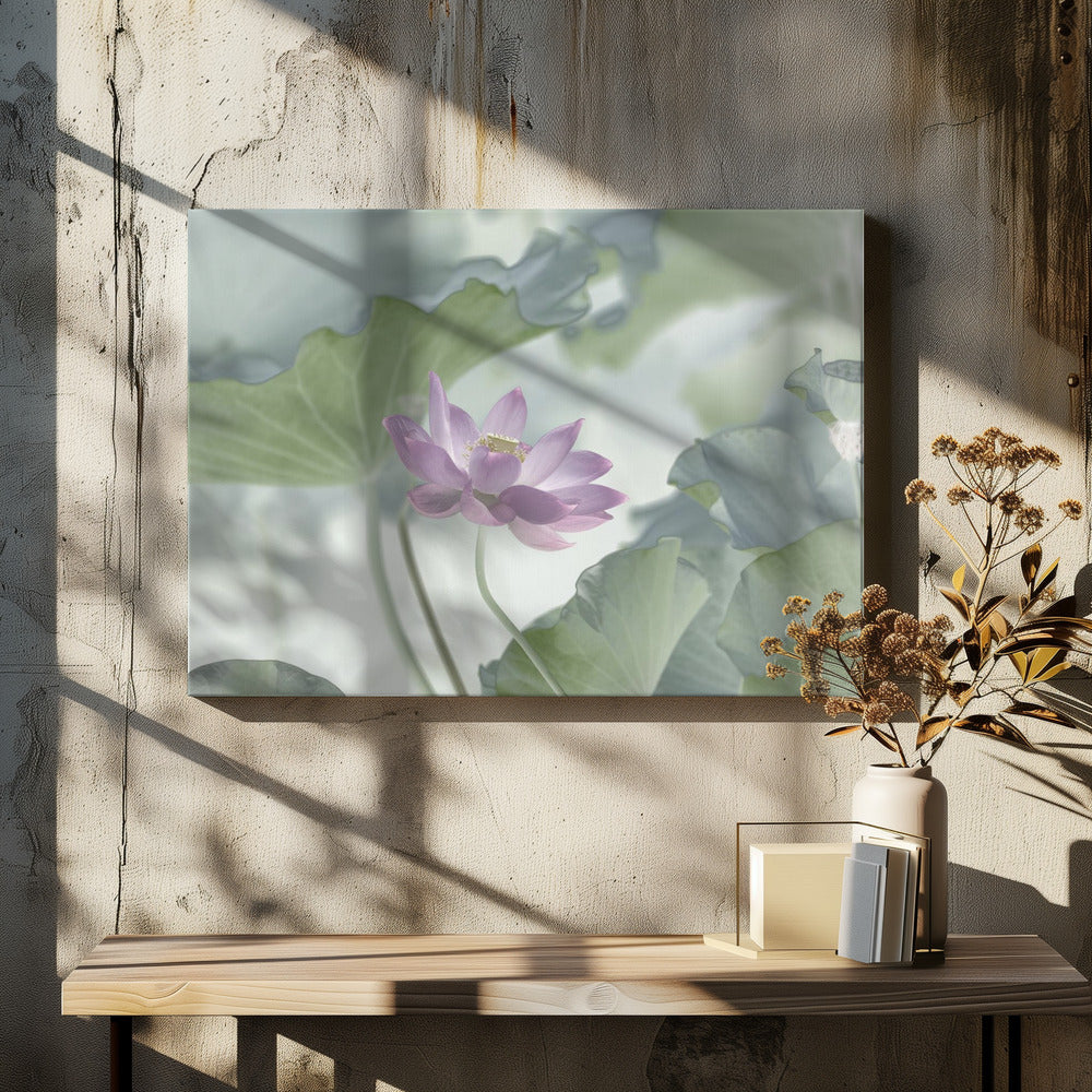 Lotus | Leinwand