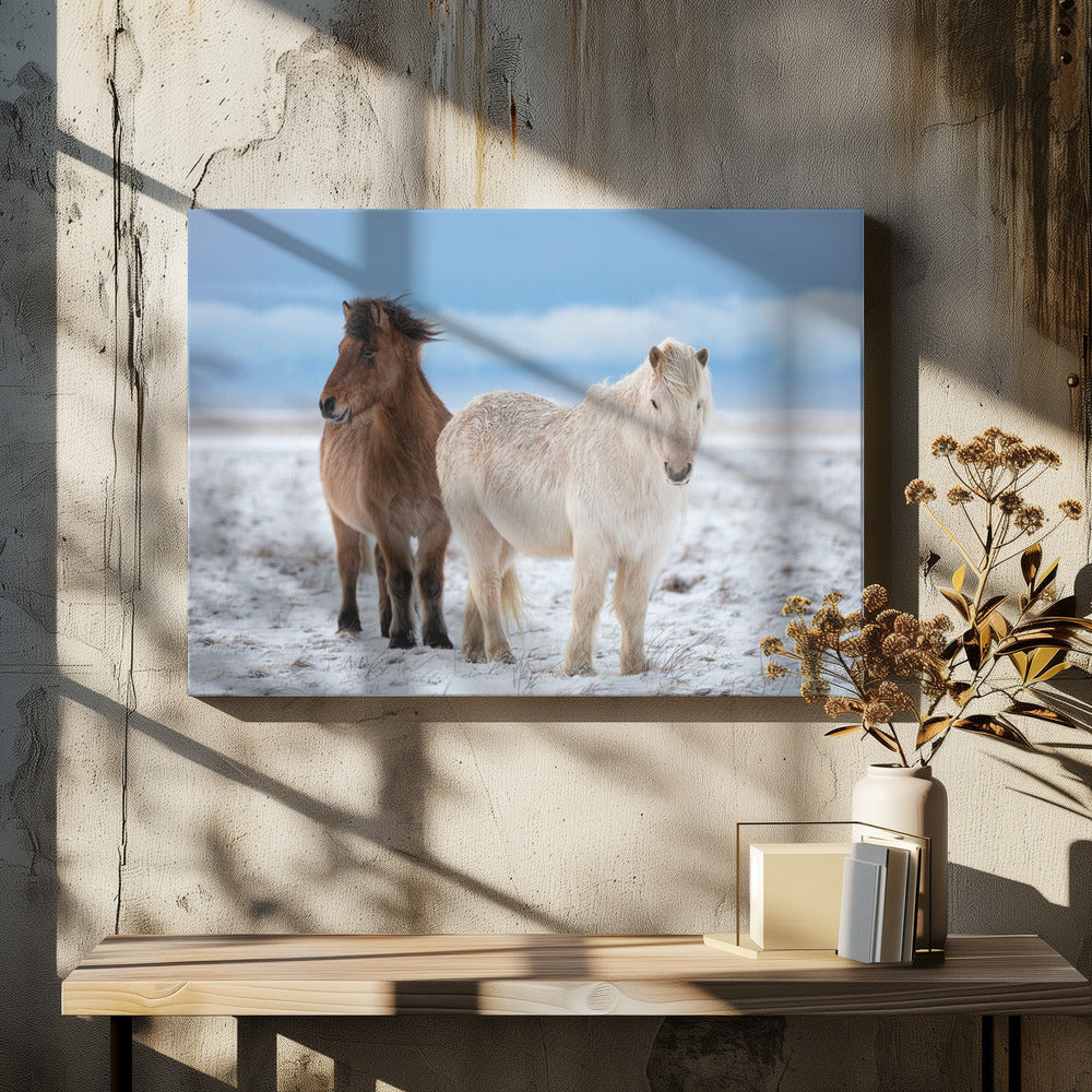 BRÜDER | Leinwand