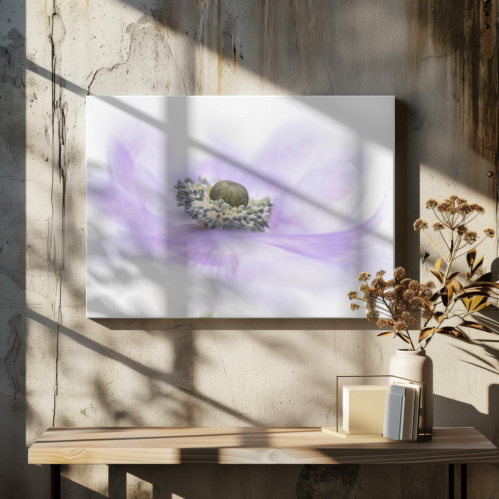 Whisper | Canvas