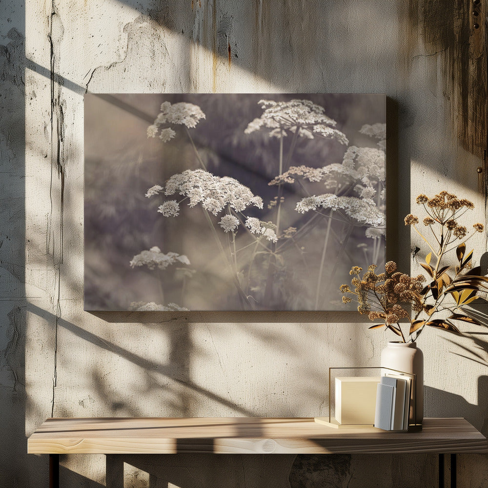 Wild Parsley | Canvas