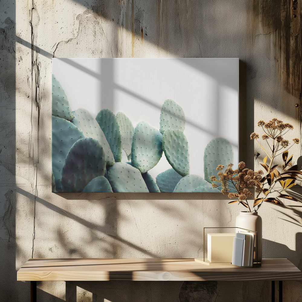 Pastell Kaktus | Leinwand
