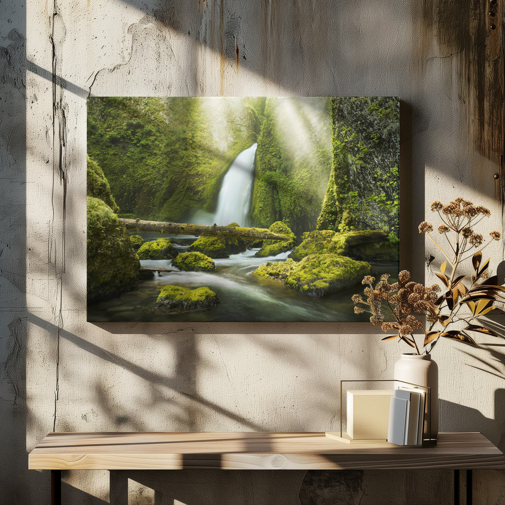 Grüne Schlucht | Leinwand