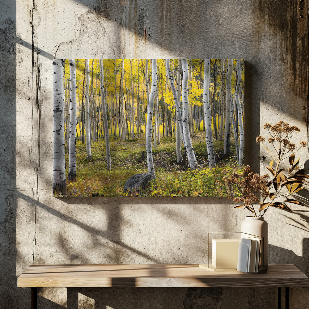Herbstbirken | Leinwand