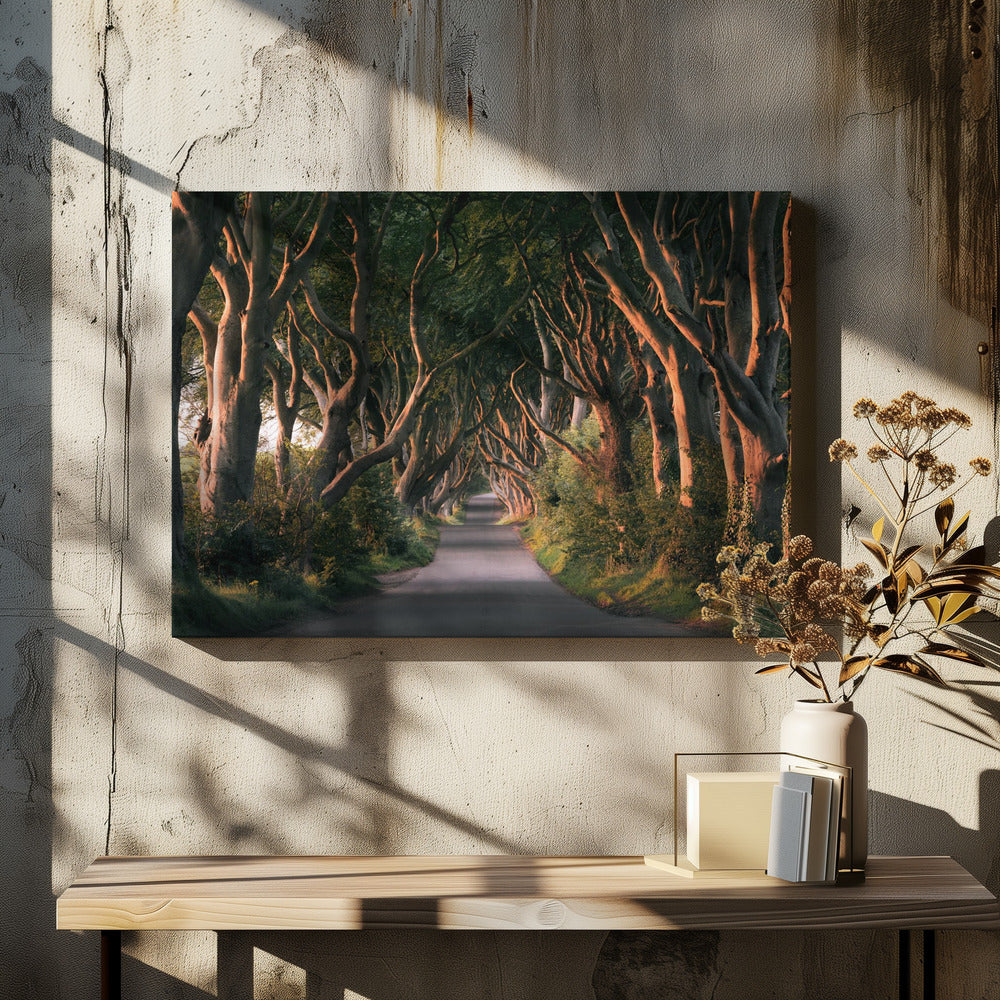 Red Avenue | Leinwand