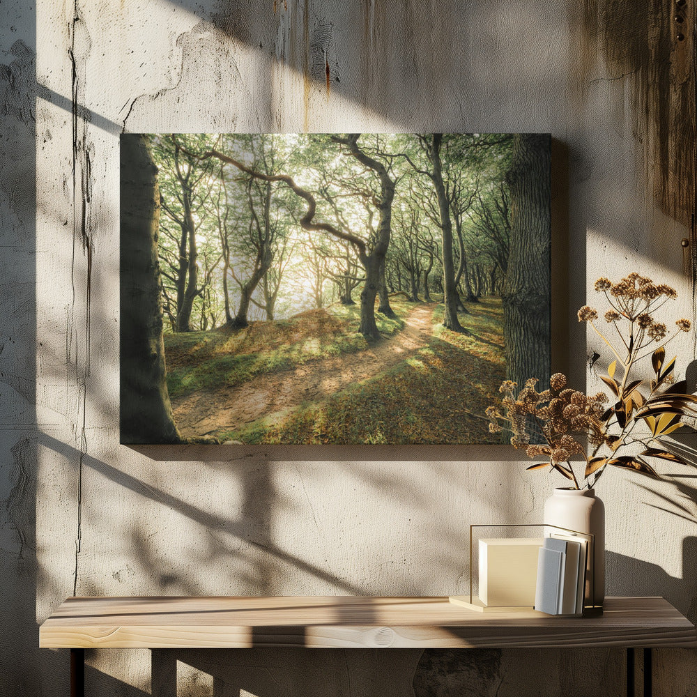Magisches Buchenholz | Leinwand
