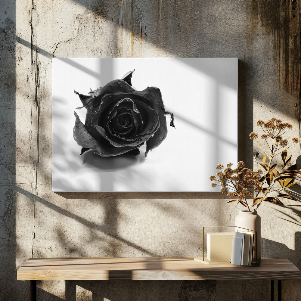 Rose Noir | Leinwand