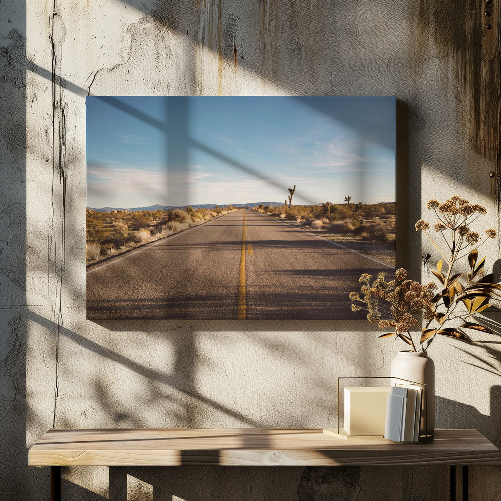 Joshua Tree Road | Leinwand