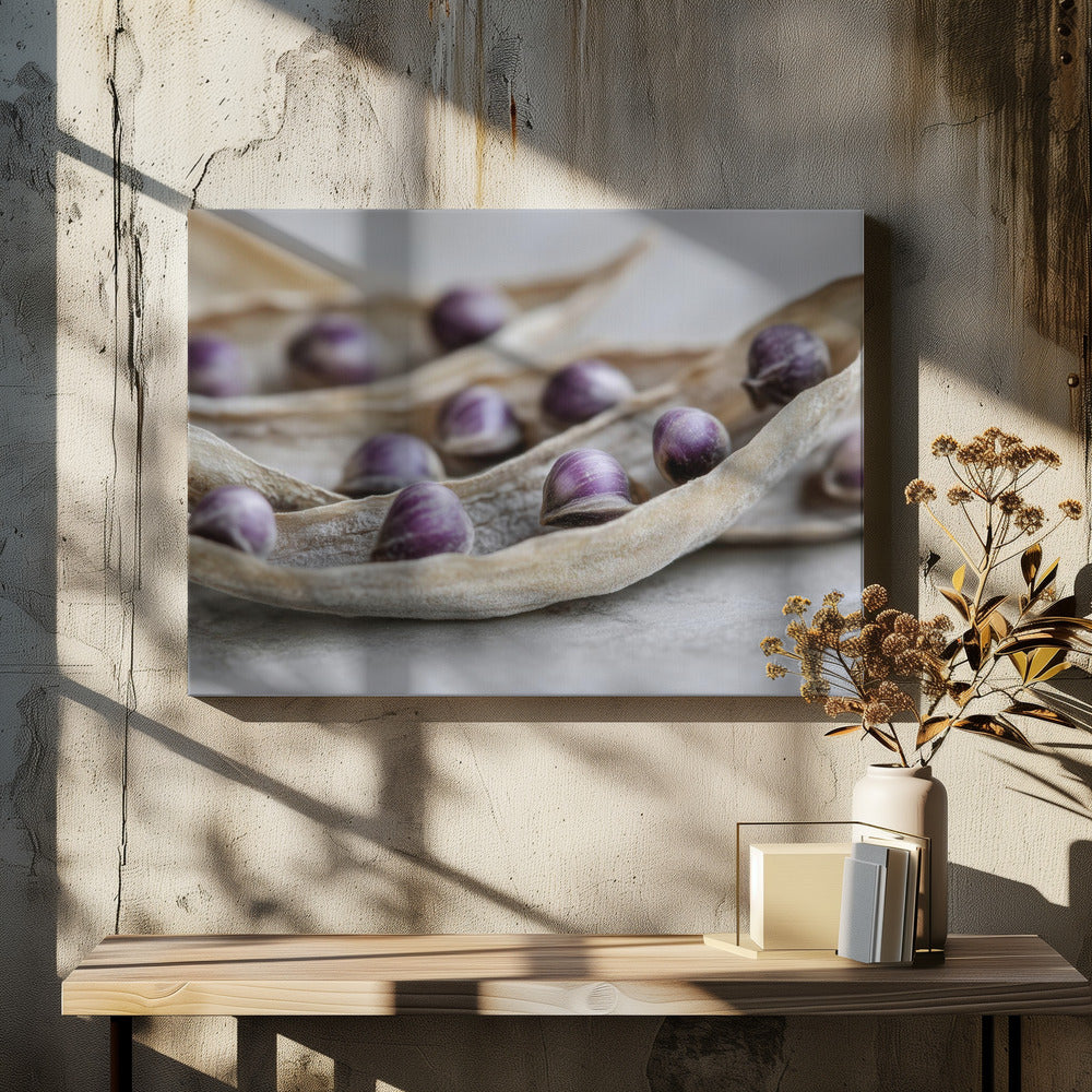 Lila Samensymphonie | Leinwand