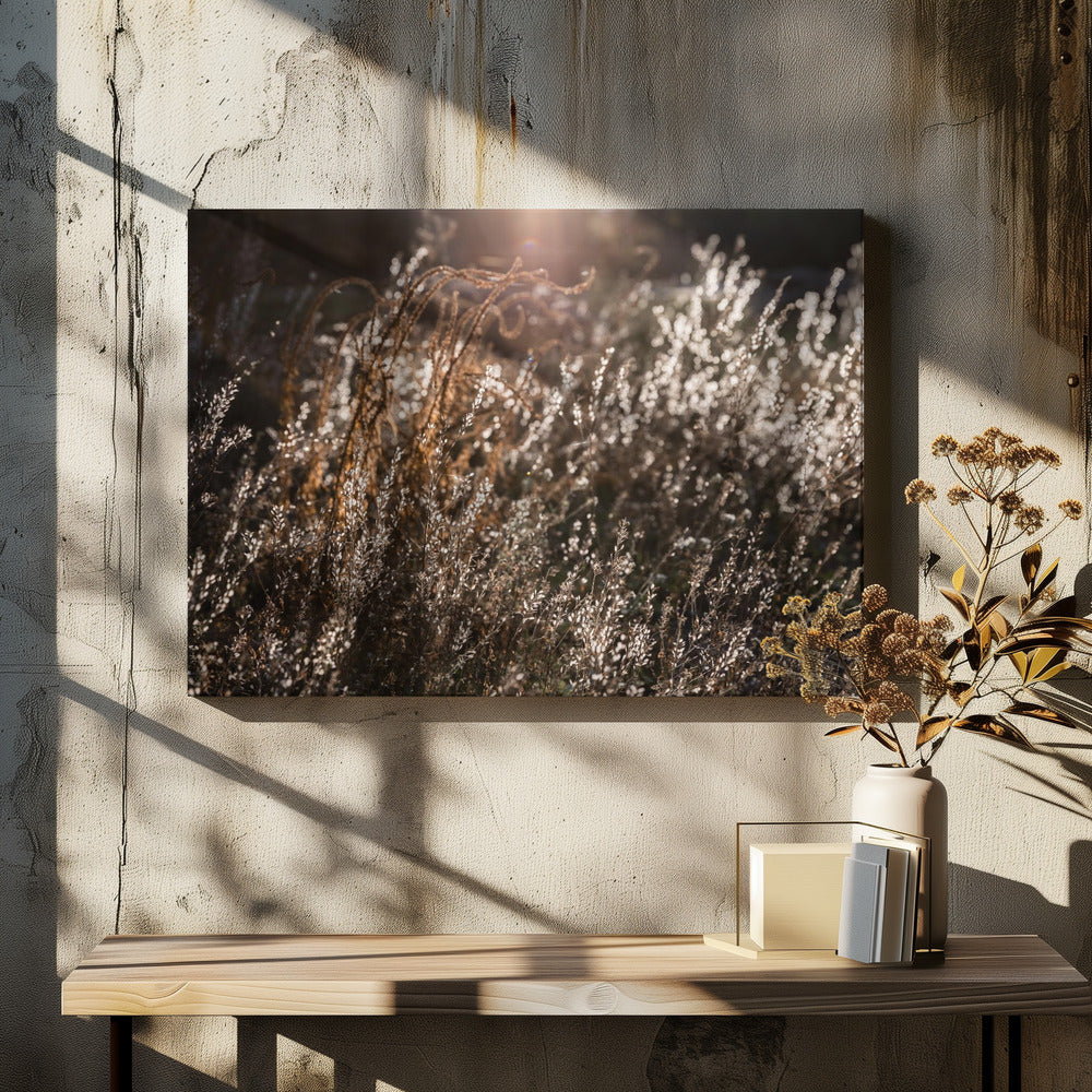 Warmes Winterlicht 4 | Leinwand