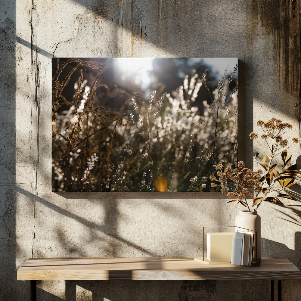 Warmes Winterlicht 7 | Leinwand