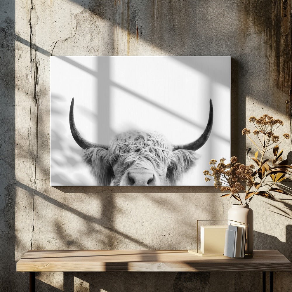 Spähende Kuh SW | Leinwand