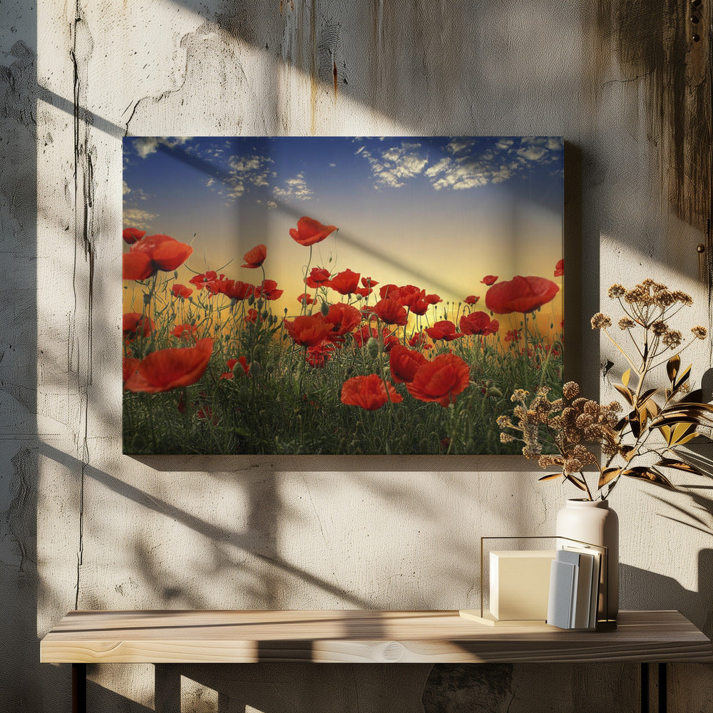 Mohnblumen | Leinwand