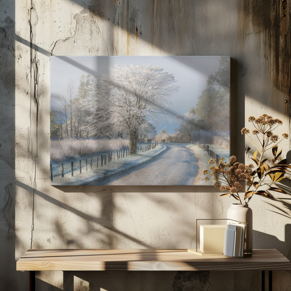 A Frosty Morning | Canvas