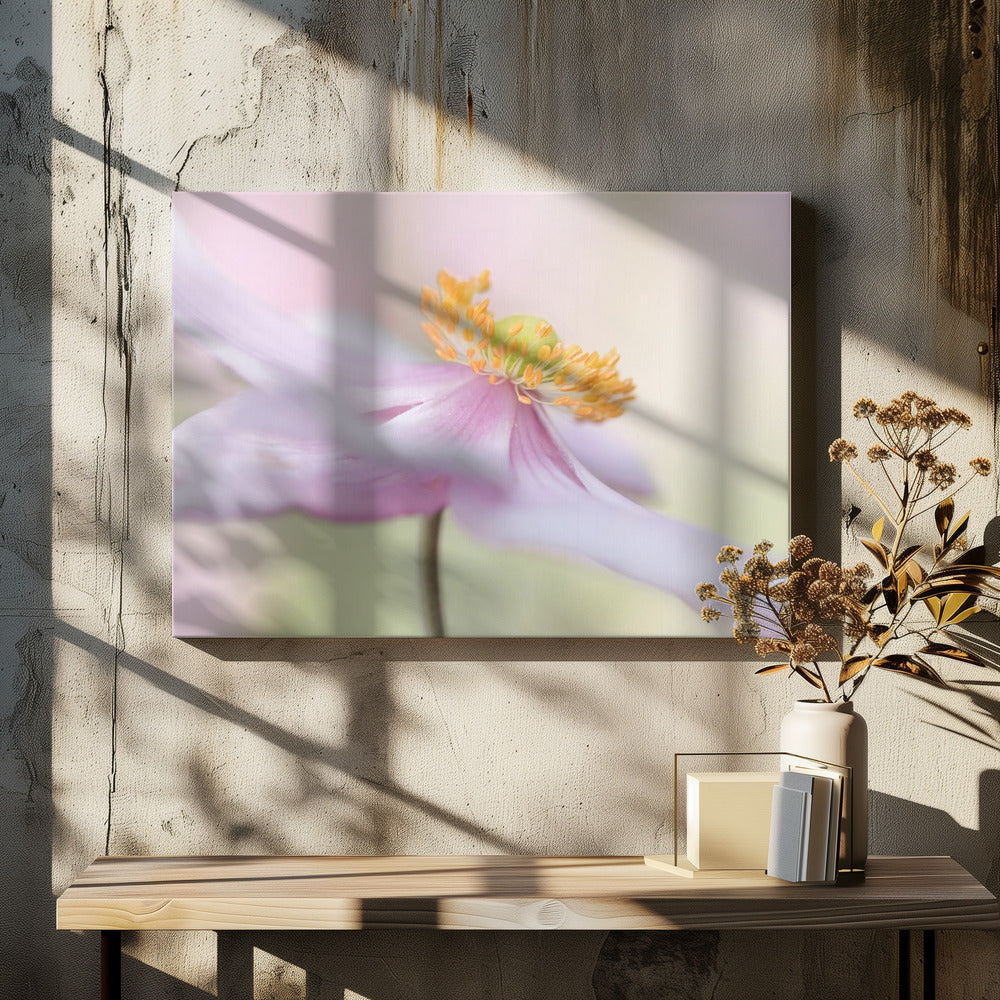 Japanische Anemone | Leinwand