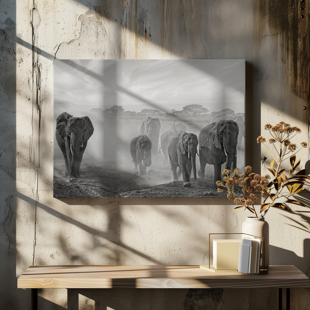 Emotionssequenz | Leinwand
