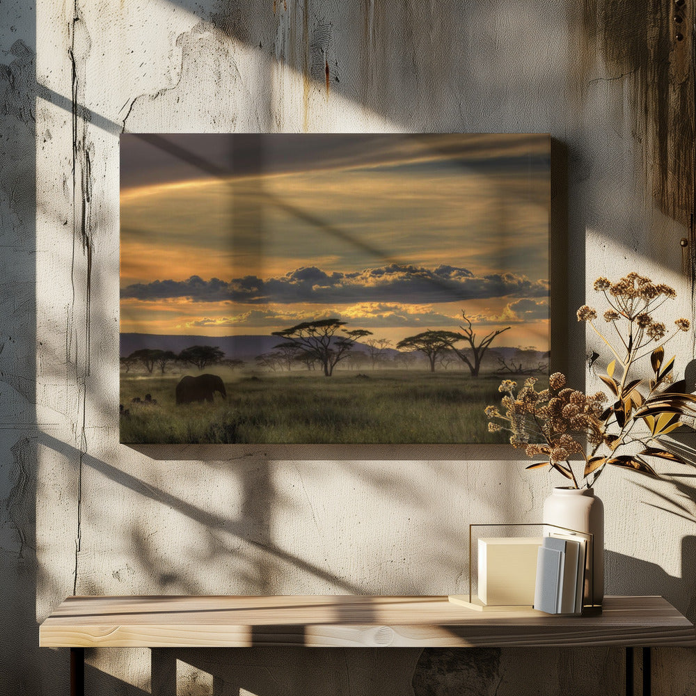 Afrika | Leinwand