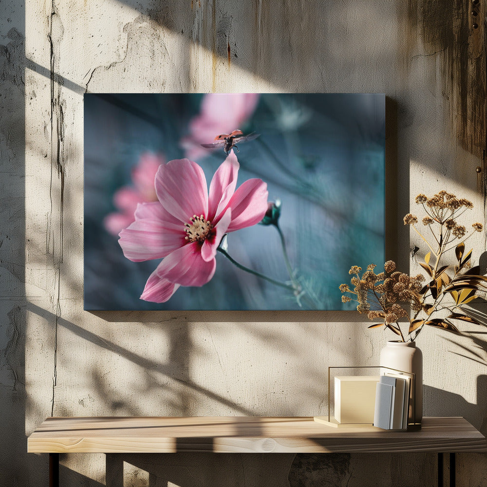 Clair de Terre | Leinwand