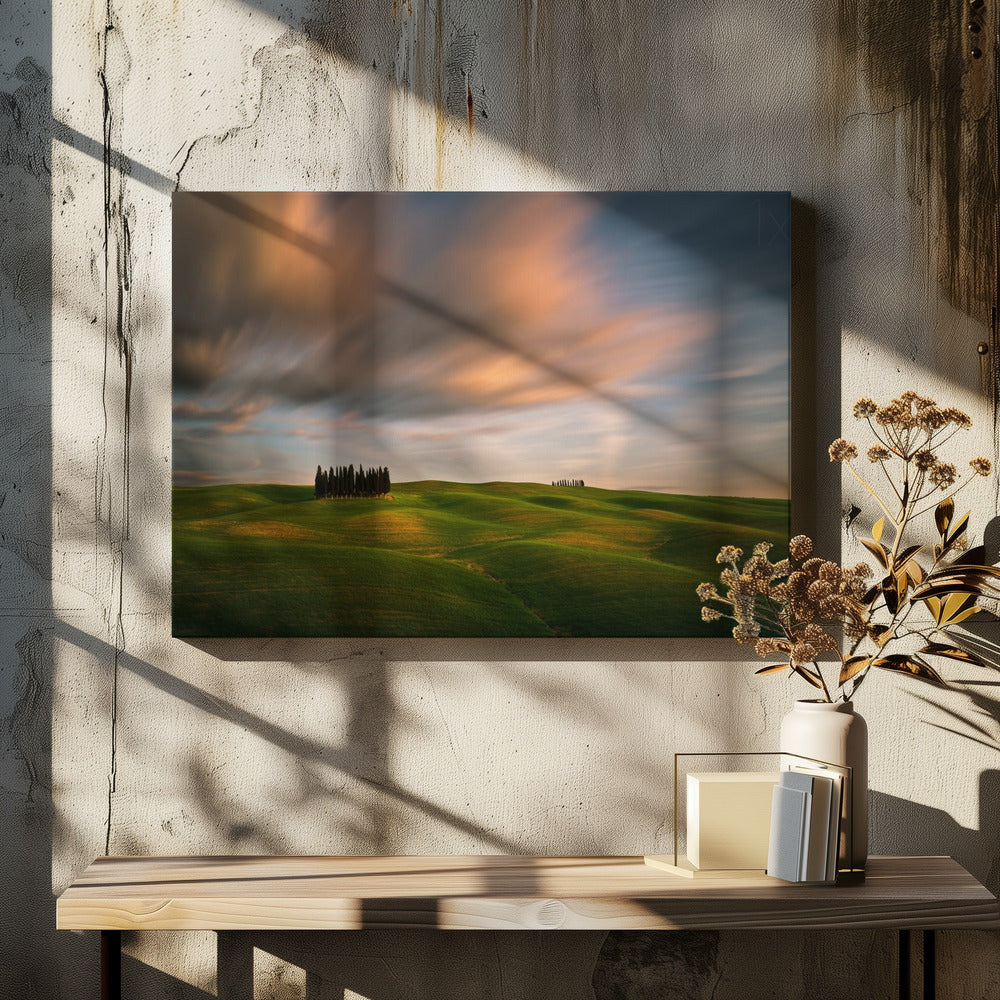 Felder... | Leinwand