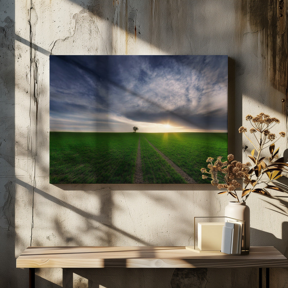 Einzelgänger in der Sonne | Leinwand