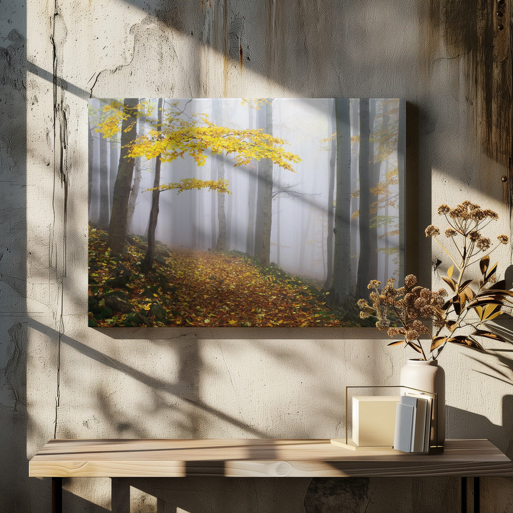 Untitled | Canvas