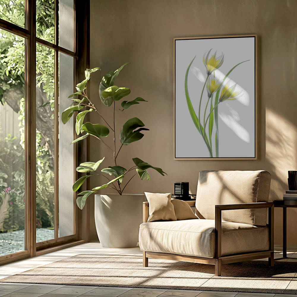 ~~Tulipa~~ | Poster