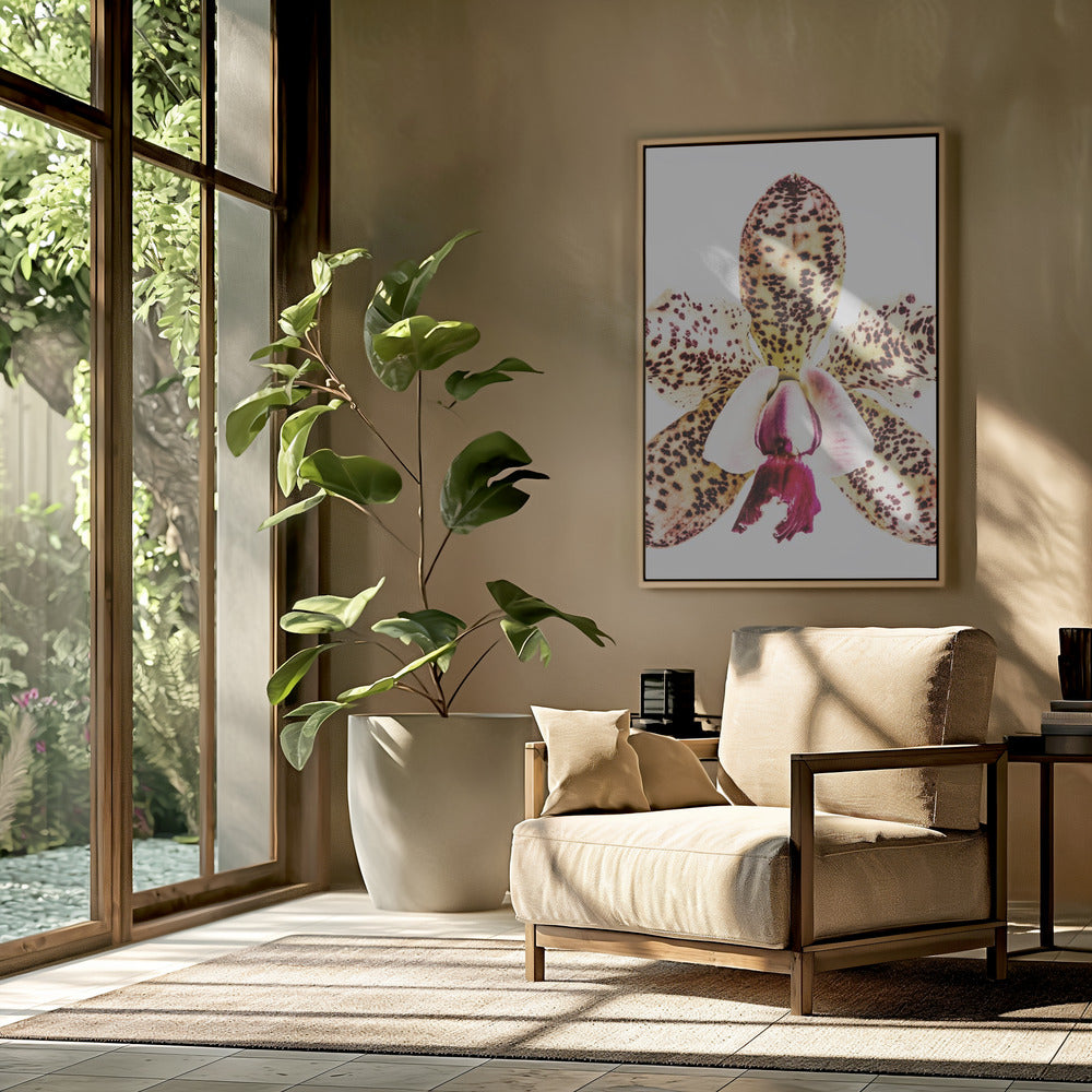 Gefleckte Orchideenexplosion | Poster