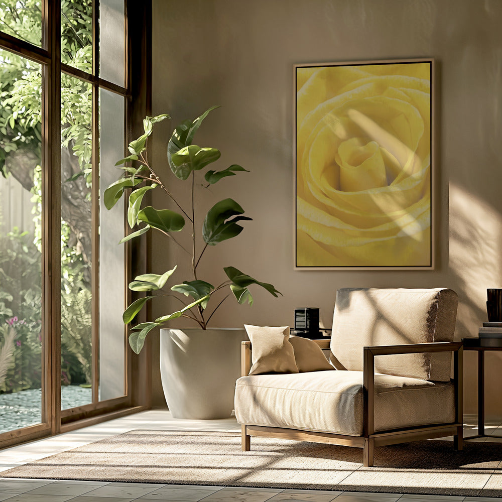 gelbe Rose | Poster