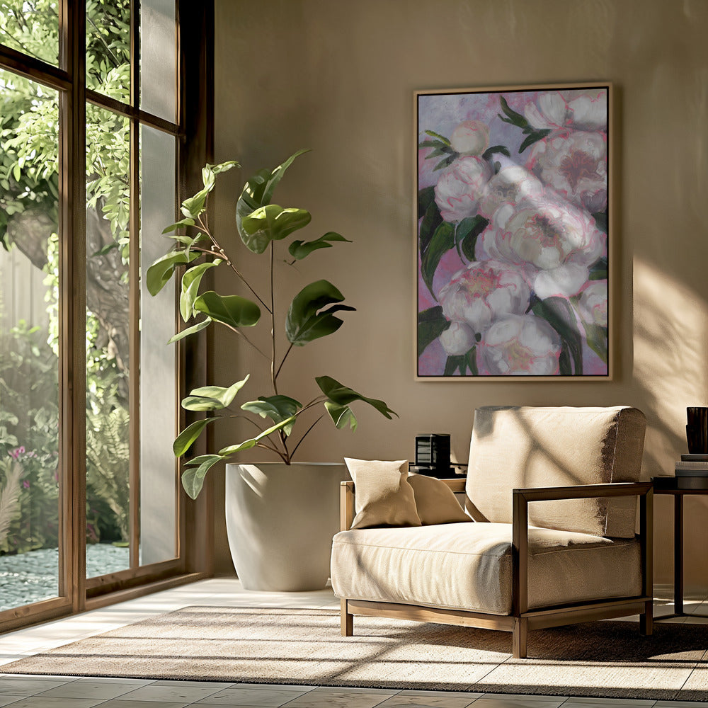 Weiße Pfingstrosen mit rosa Highlights | Poster
