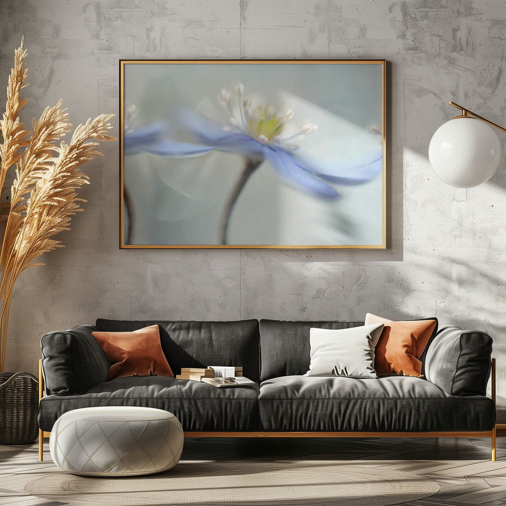 Tanzende Anemonen | Poster