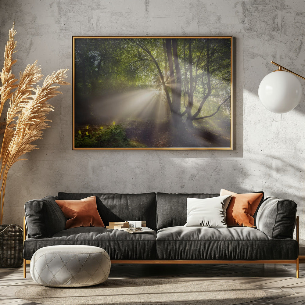 Das Morgenlicht | Poster
