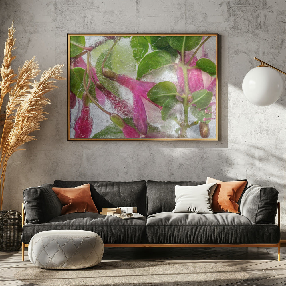 Fuchsia freeze | Canvas