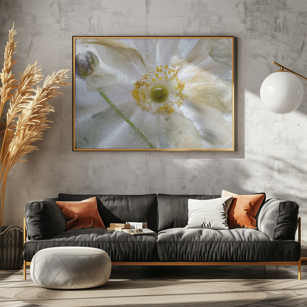 Floral freeze | Poster